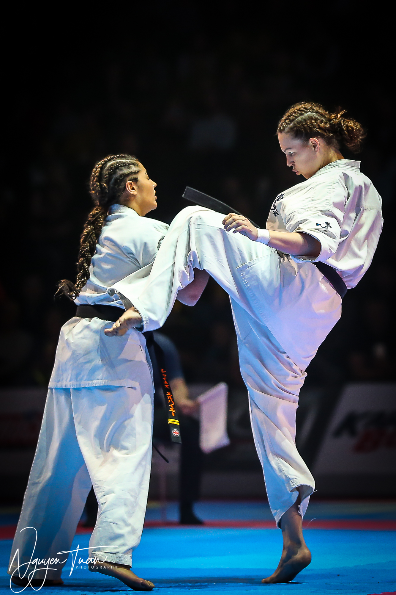 20190324 Festival des Arts Martiaux 6019